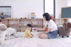 （6分钟科普下）西双版纳政府热线12345_哔哩哔哩